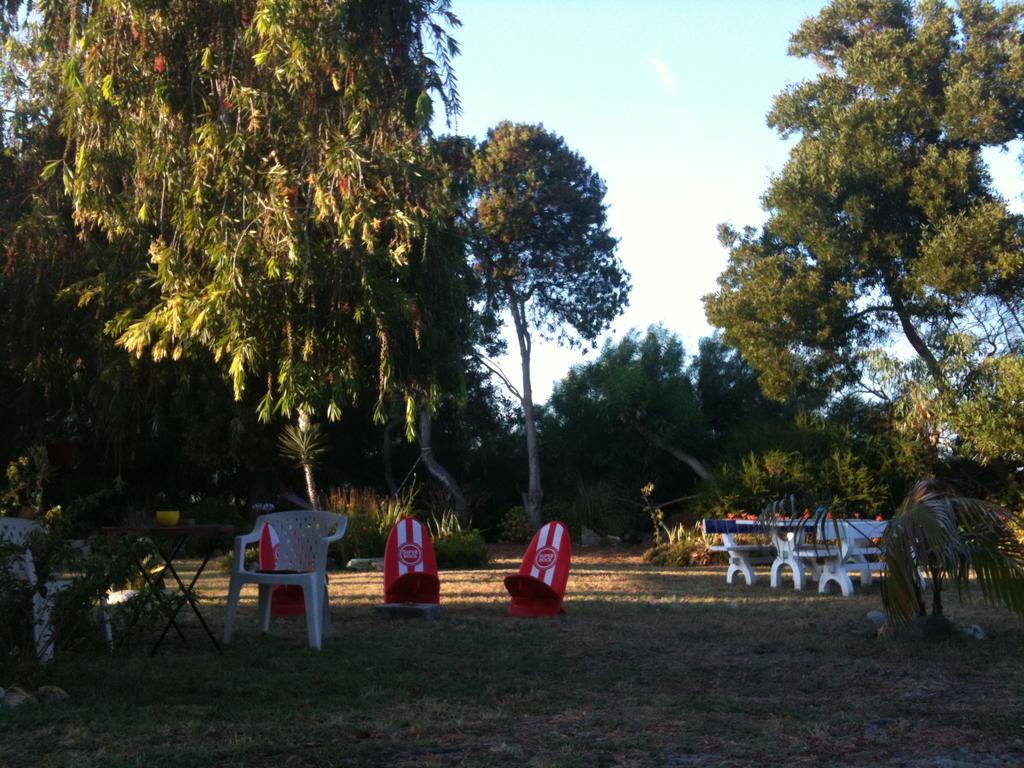 Hotel Alentejo Pig Dog Surf Camp à Palhota Extérieur photo