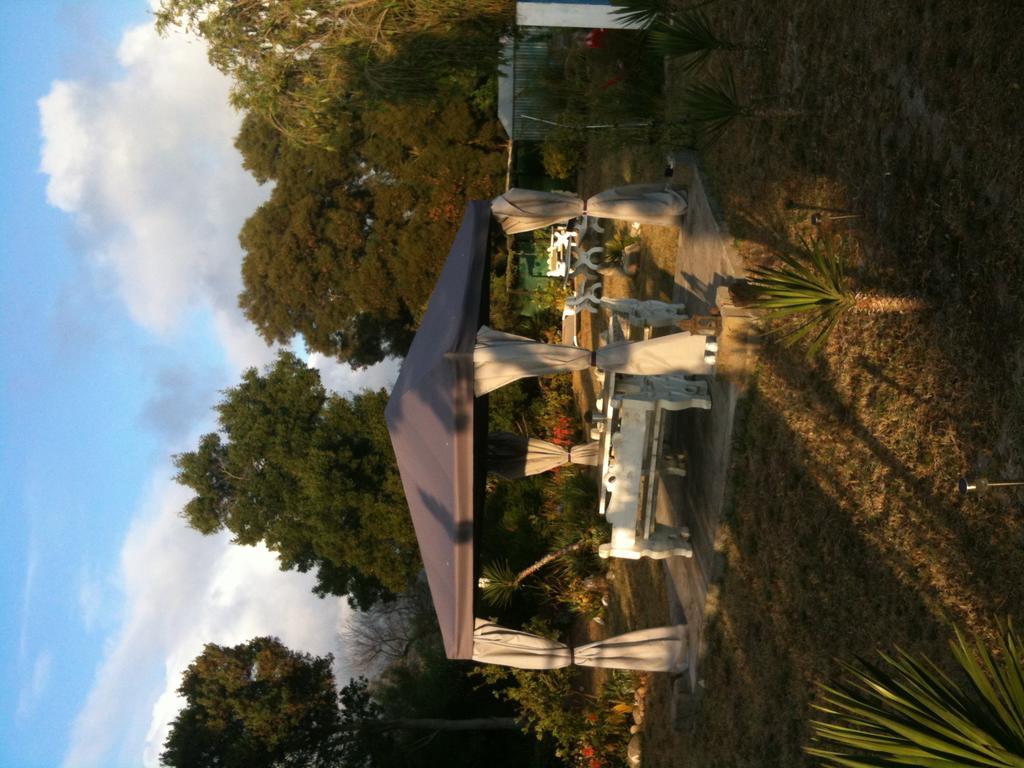 Hotel Alentejo Pig Dog Surf Camp à Palhota Extérieur photo
